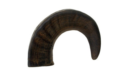 Buffalo Horn